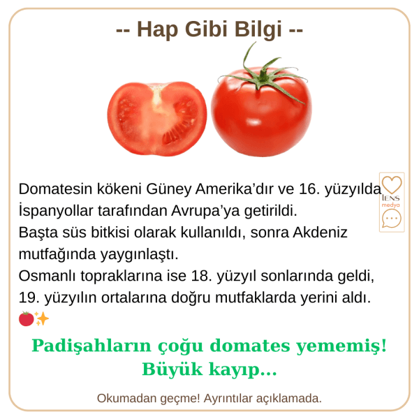 Domatesin Yolculuğu: Dünyadan Türkiye’ye
